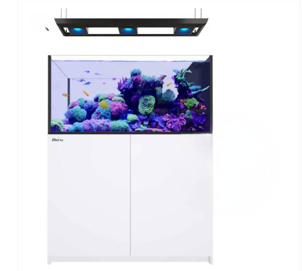 Marine Aquarium RS REEFER Peninsula 500 G2+ Deluxe RL G2 115