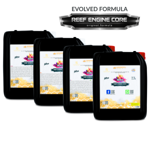 Modern Reef -Reef Keeping System-REEF ENGINE CORE 7.7x Силно концентриран (RKS 7.7х)-4х5л