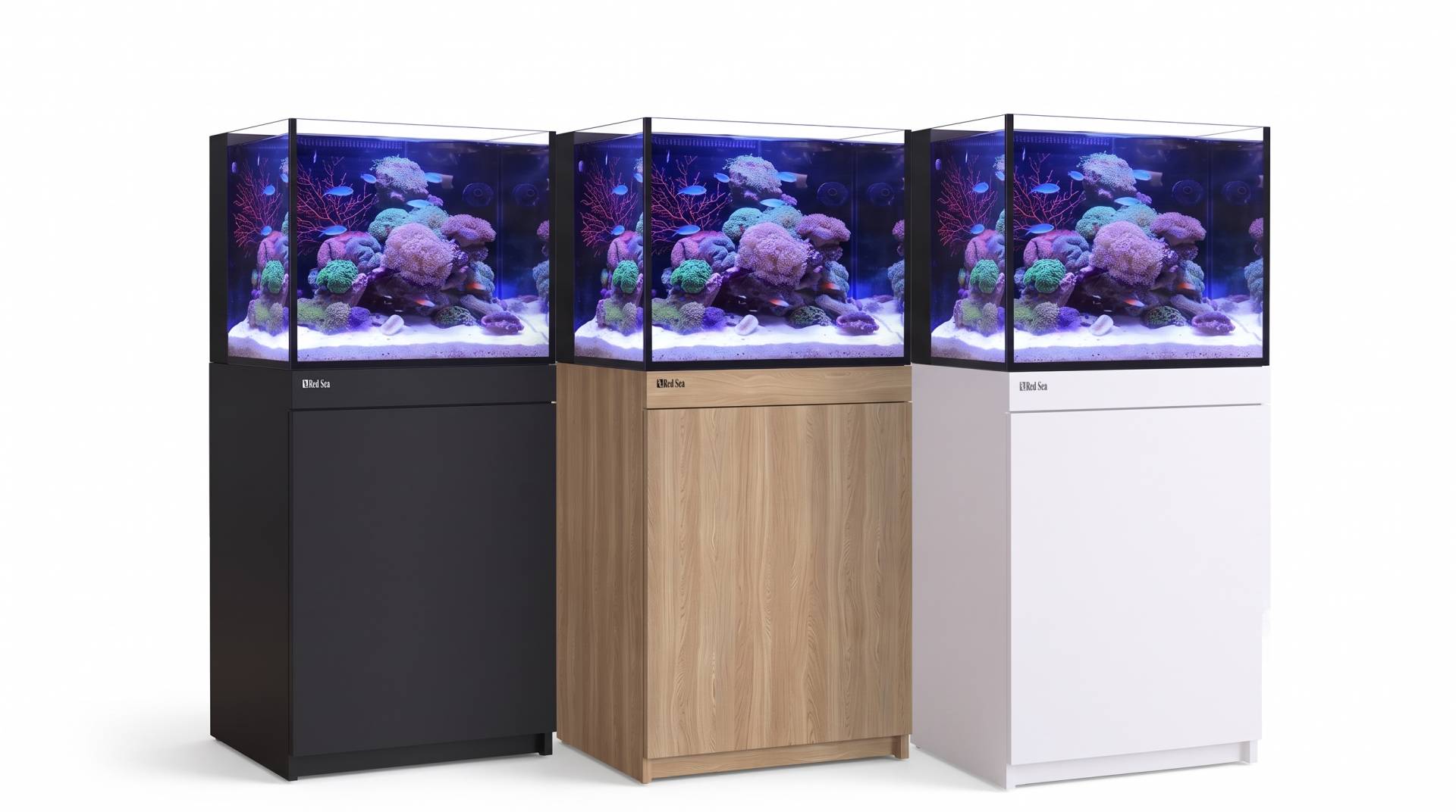 REEF-FRAME 170