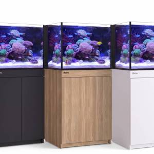 REEF-FRAME 350