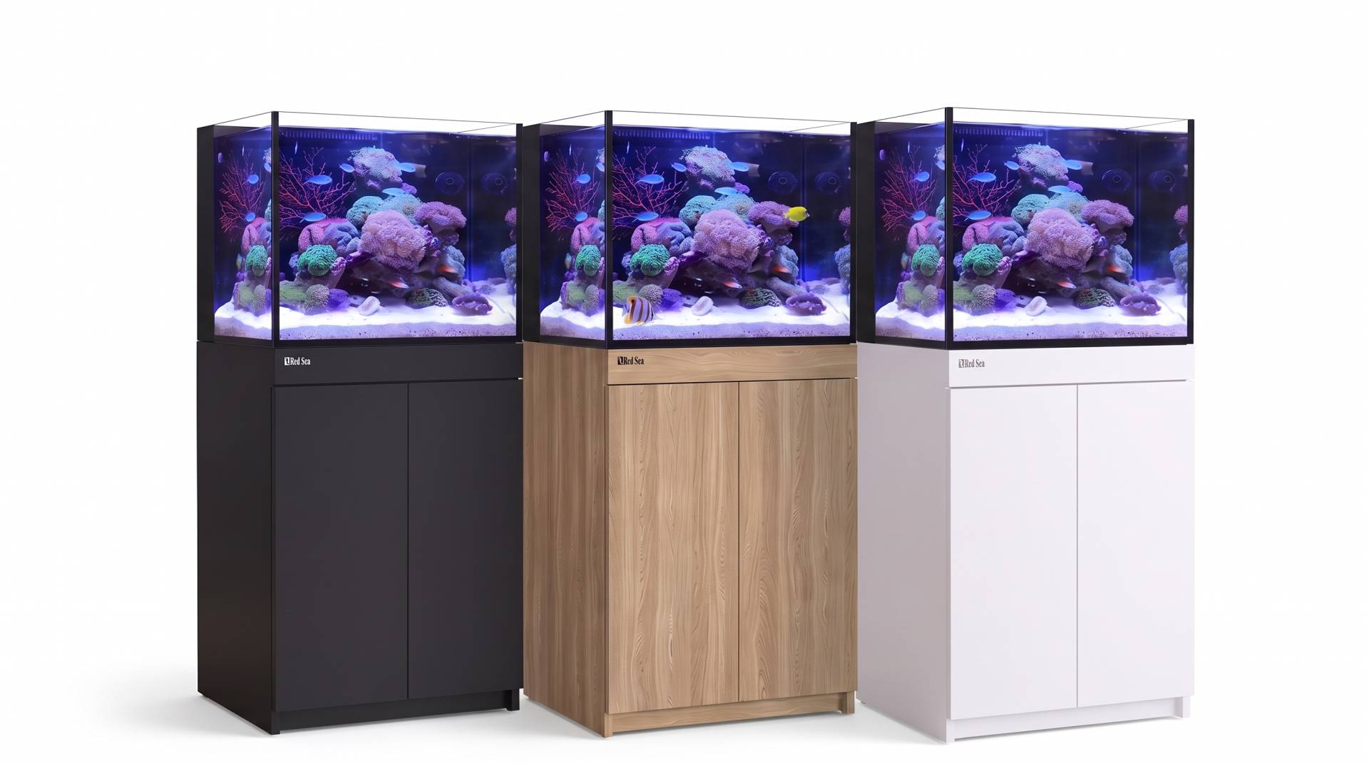 REEF-FRAME 350