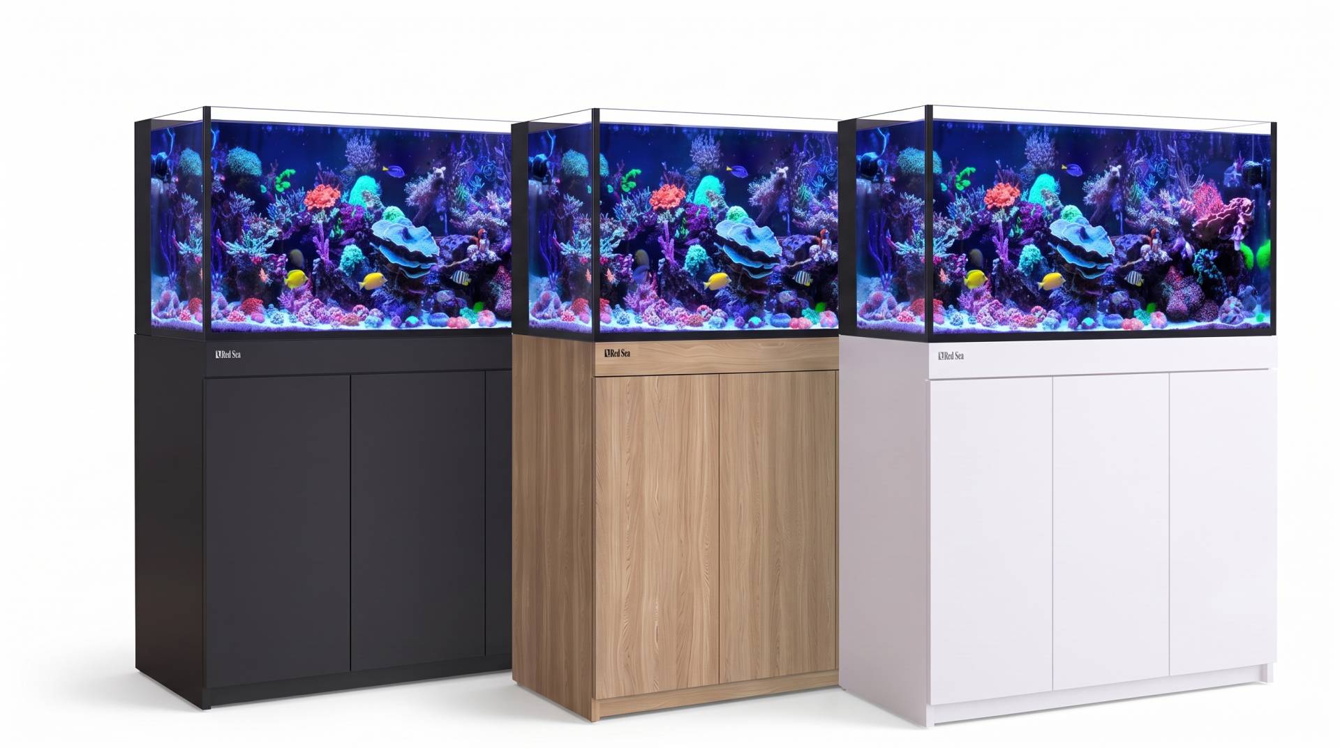 REEF-FRAME 500